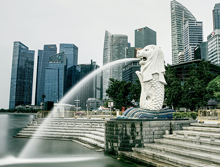 Trevno Pte Ltd <br>(Singapore)